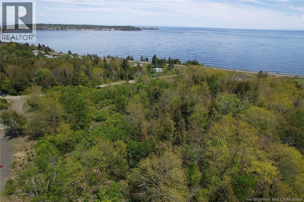 Wellington Drive, Grand Manan, New Brunswick  E5G 1M8 - Photo 4 - NB132240