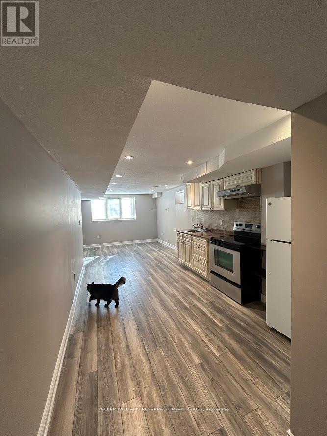 Lower - 43 Littleriver Court, Vaughan, Ontario  L6A 0K4 - Photo 2 - N13226922