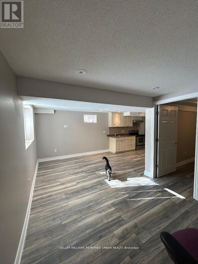 Lower - 43 Littleriver Court, Vaughan, Ontario  L6A 0K4 - Photo 5 - N13226922