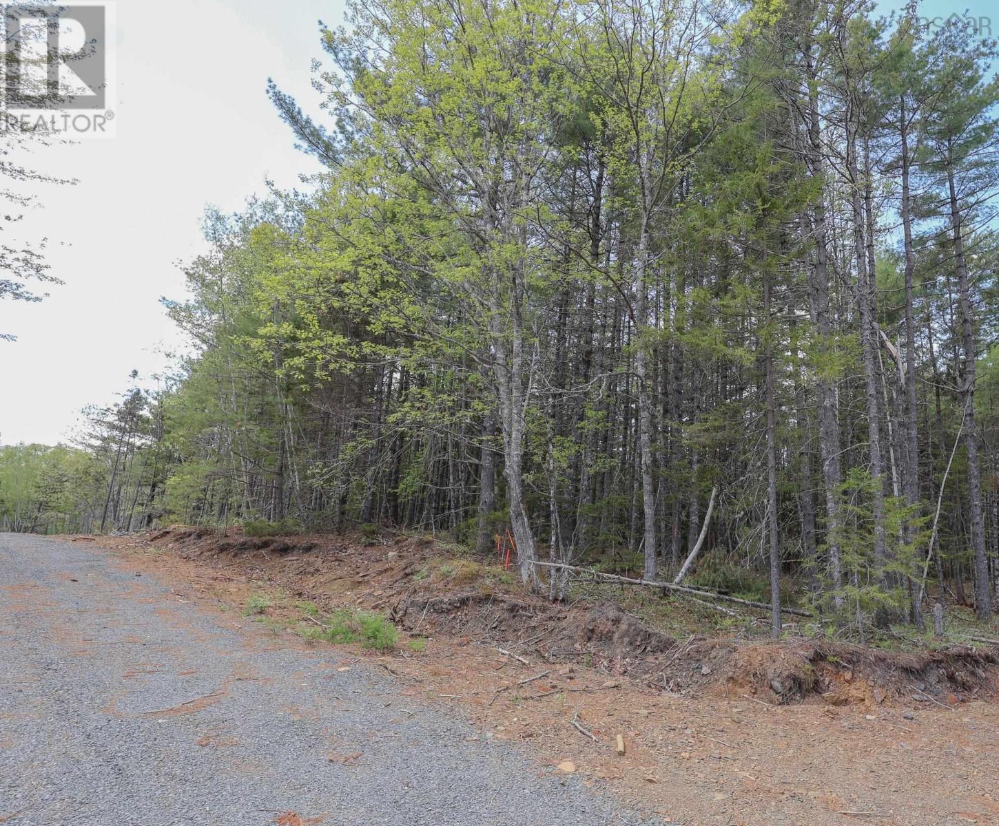 Lot 101 Cleversey Ridge Park, Fauxburg, Nova Scotia  B0J 2C0 - Photo 7 - 202612913