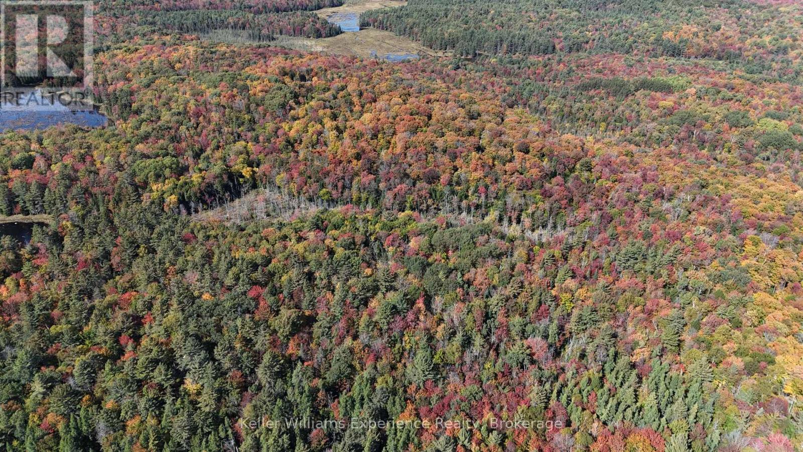 PL20 LANGFORD ROAD, Lake of Bays, Ontario