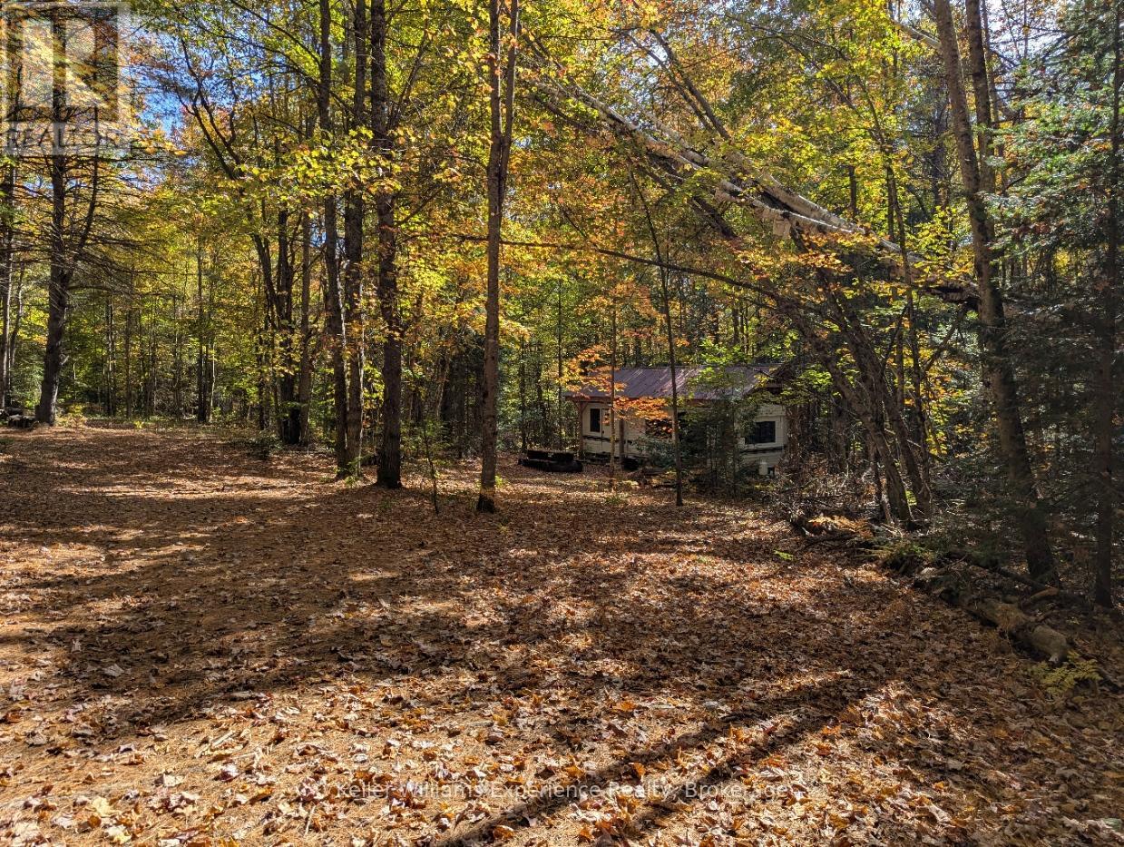 Pl20 Langford Road, Lake Of Bays, Ontario  P0B 1A0 - Photo 10 - X13227254
