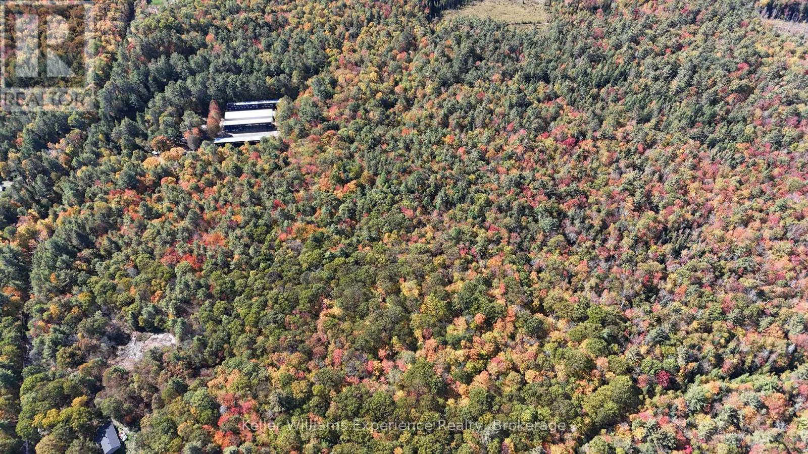 Pl20 Langford Road, Lake Of Bays, Ontario  P0B 1A0 - Photo 17 - X13227254