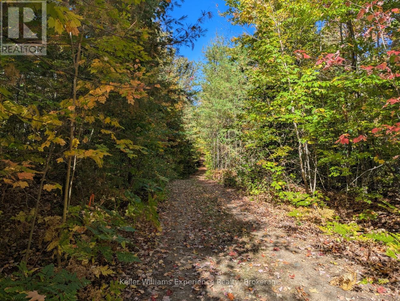 Pl20 Langford Road, Lake Of Bays, Ontario  P0B 1A0 - Photo 7 - X13227254