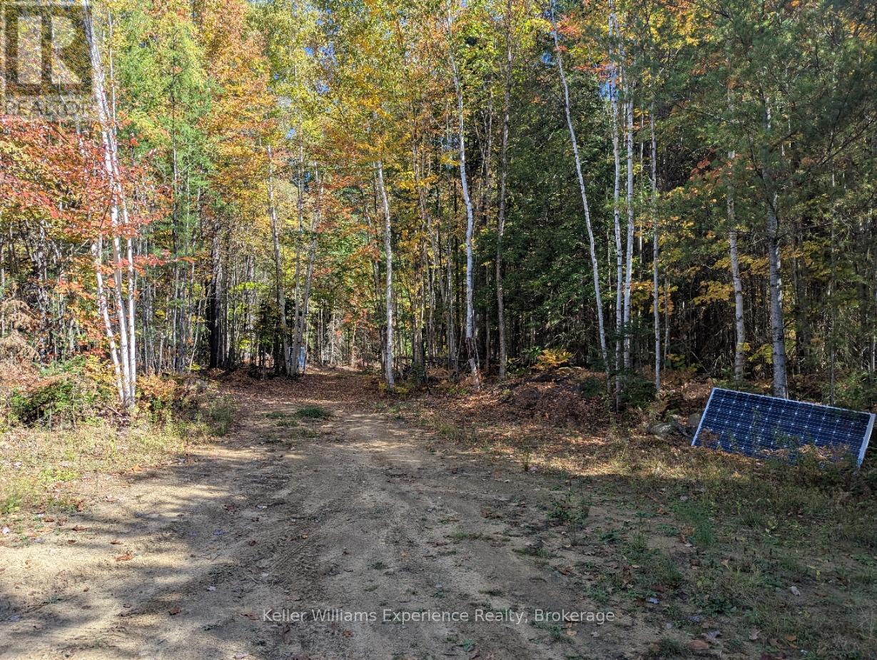 Pl20 Langford Road, Lake Of Bays, Ontario  P0B 1A0 - Photo 9 - X13227254