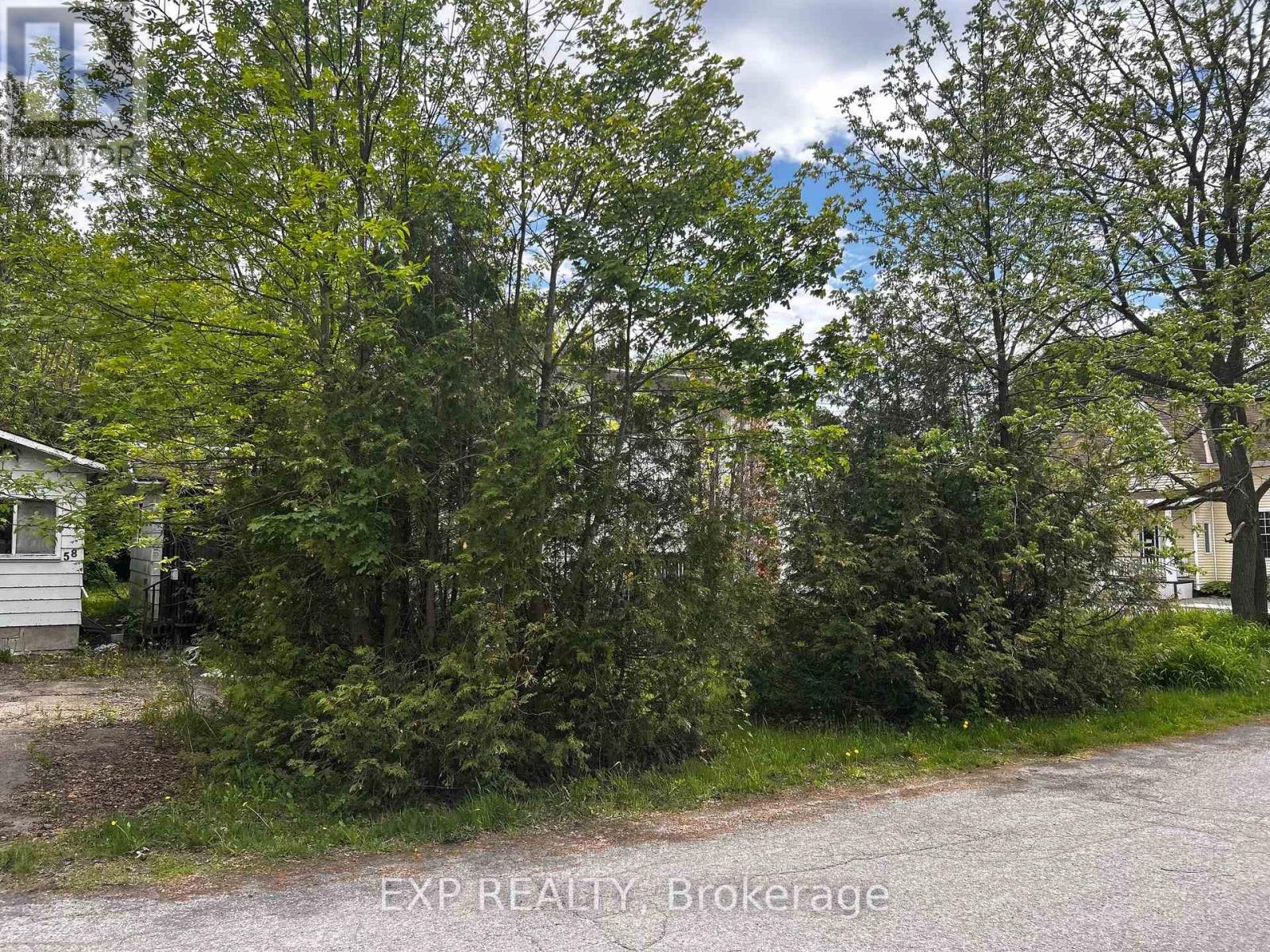 139 Charles Street, Carleton Place, Ontario  K7C 2Y4 - Photo 3 - X12993618