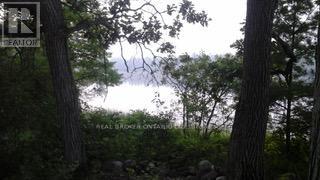 Lot 124 Kedey Island, Ottawa, Ontario  K0A 1X0 - Photo 16 - X13065518