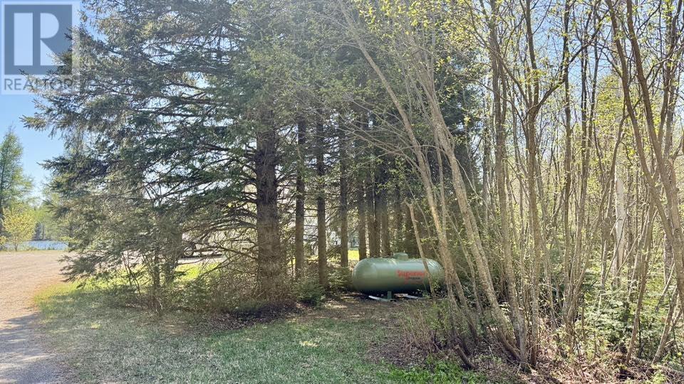 6188 Dog Lake Rd, Gorham, Ontario  P7G 0E2 - Photo 29 - TB2601313