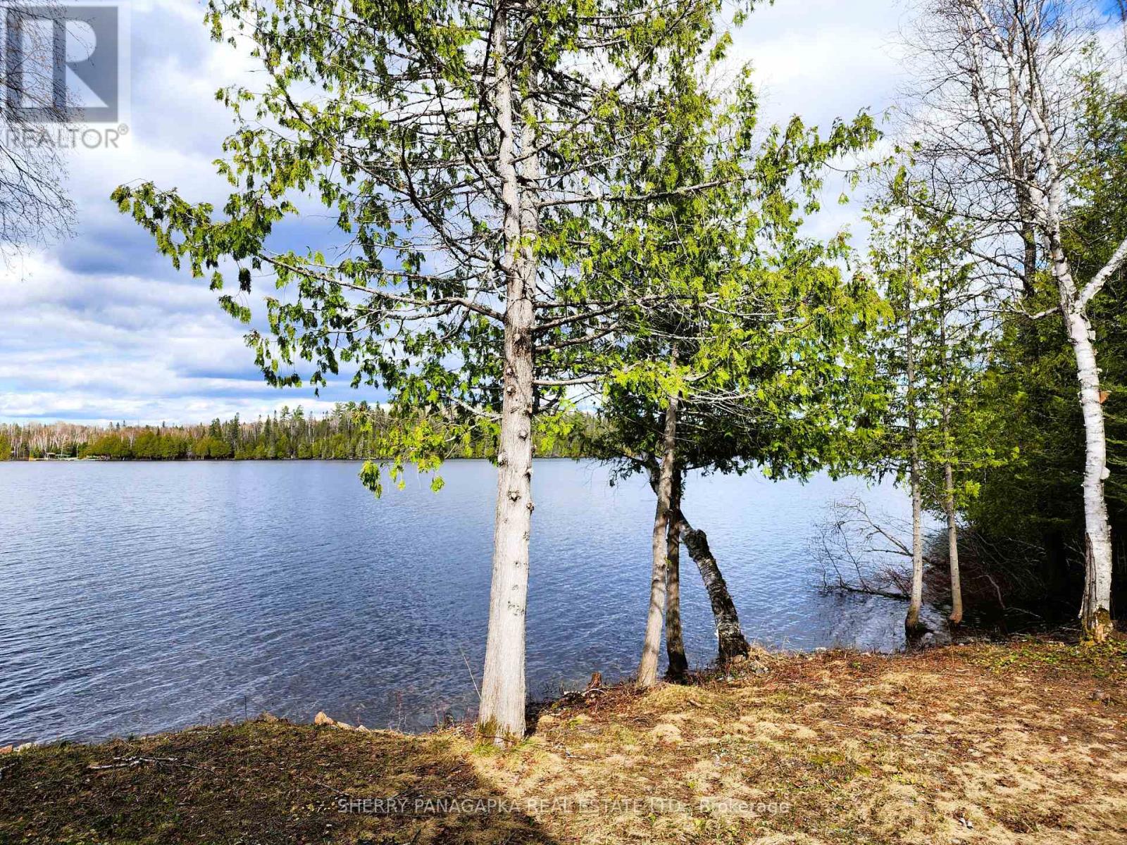 146 Boland Road, Kirkland Lake, Ontario  P0K 1T0 - Photo 16 - T13094566