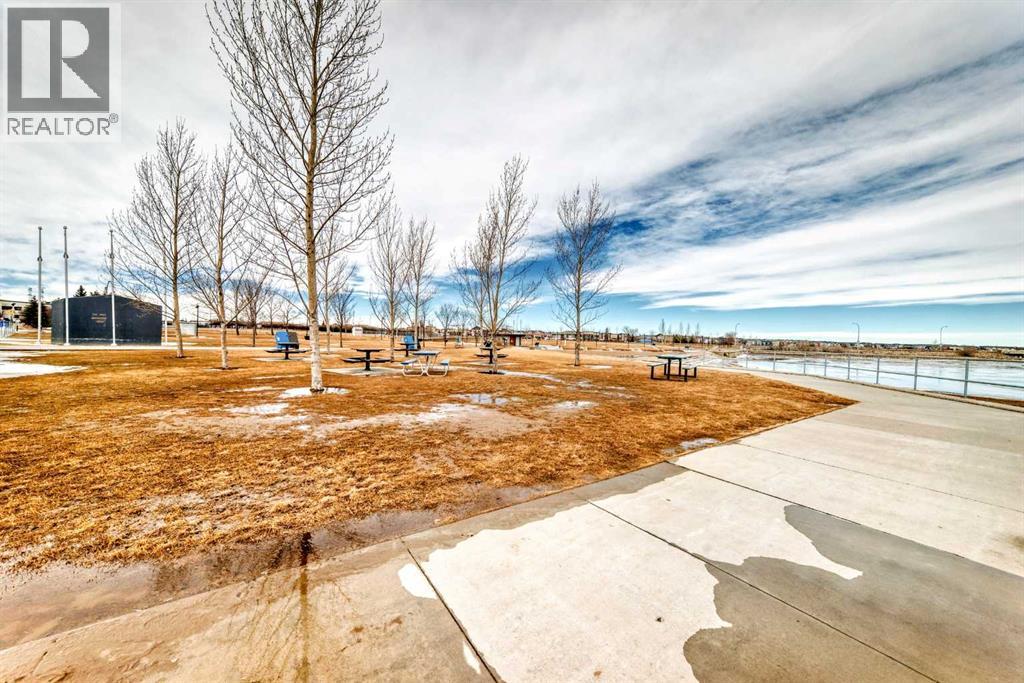 176 Cascades Passage, Chestermere, Alberta  T1X 0K8 - Photo 35 - A2294337
