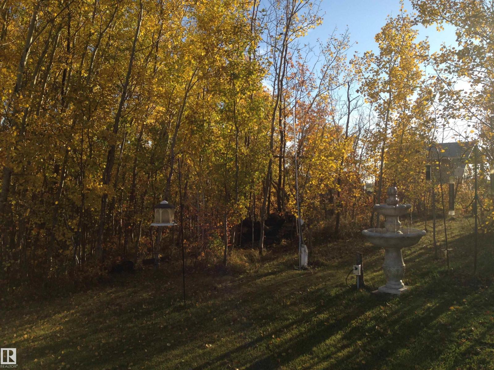 4901 48 Av, Busby, Alberta  T0G 0H0 - Photo 2 - E4490783