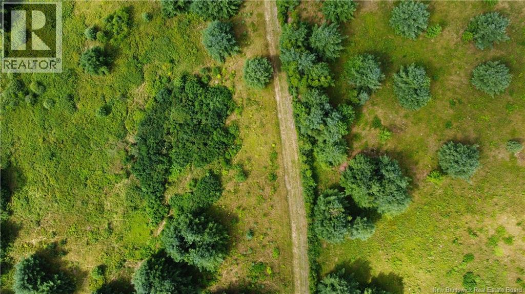 Land Elm Hill Road, Upper Hampstead, New Brunswick  E5M 1X6 - Photo 16 - NB140871