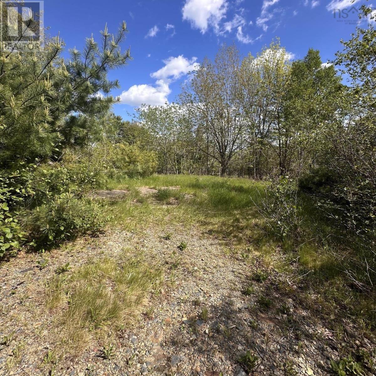 Lot (Pid 70130604) Wellington Road, Buckfield, Nova Scotia  B0T 1E0 - Photo 2 - 202612973