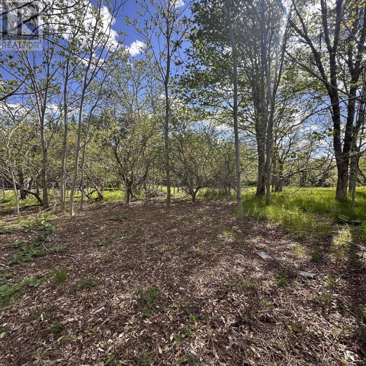 Lot (Pid 70130604) Wellington Road, Buckfield, Nova Scotia  B0T 1E0 - Photo 9 - 202612973