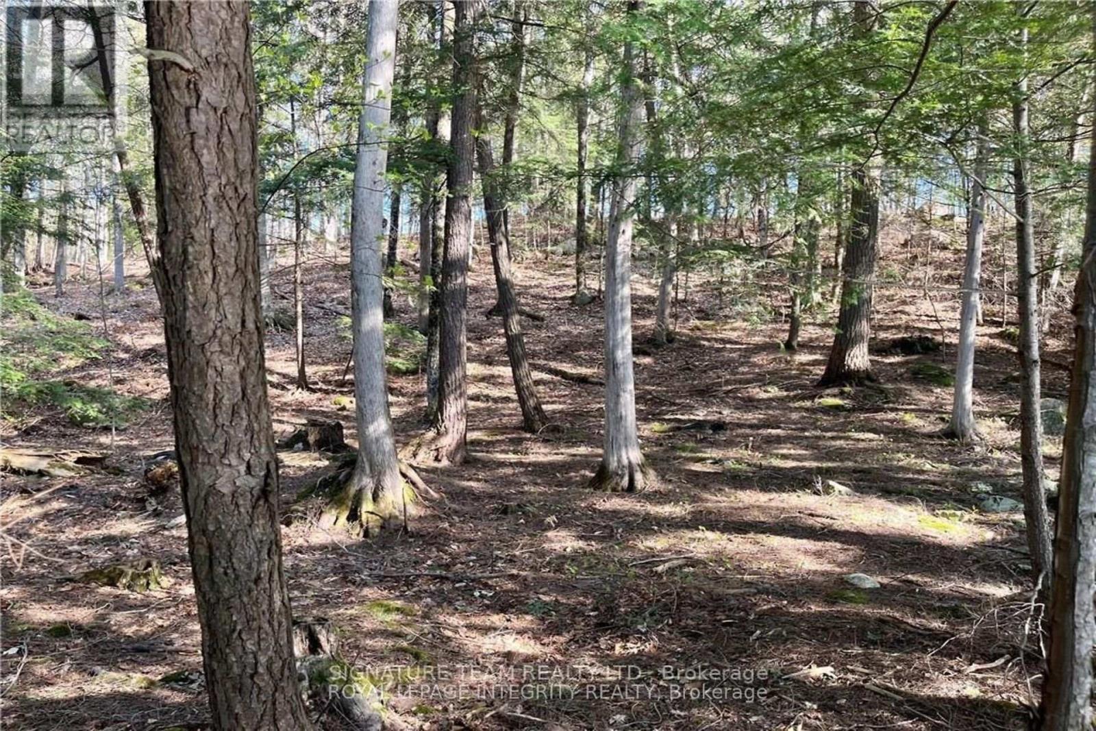 131 Shady Maple Road, Mcnab/braeside, Ontario K0J 1G0 - Photo 11 - X13228638