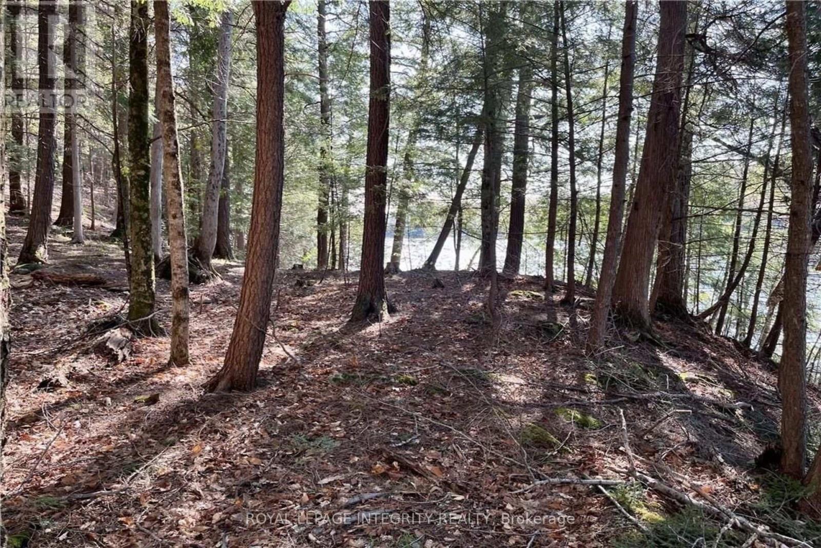 131 Shady Maple Road, Mcnab/braeside, Ontario K0J 1G0 - Photo 12 - X13228638