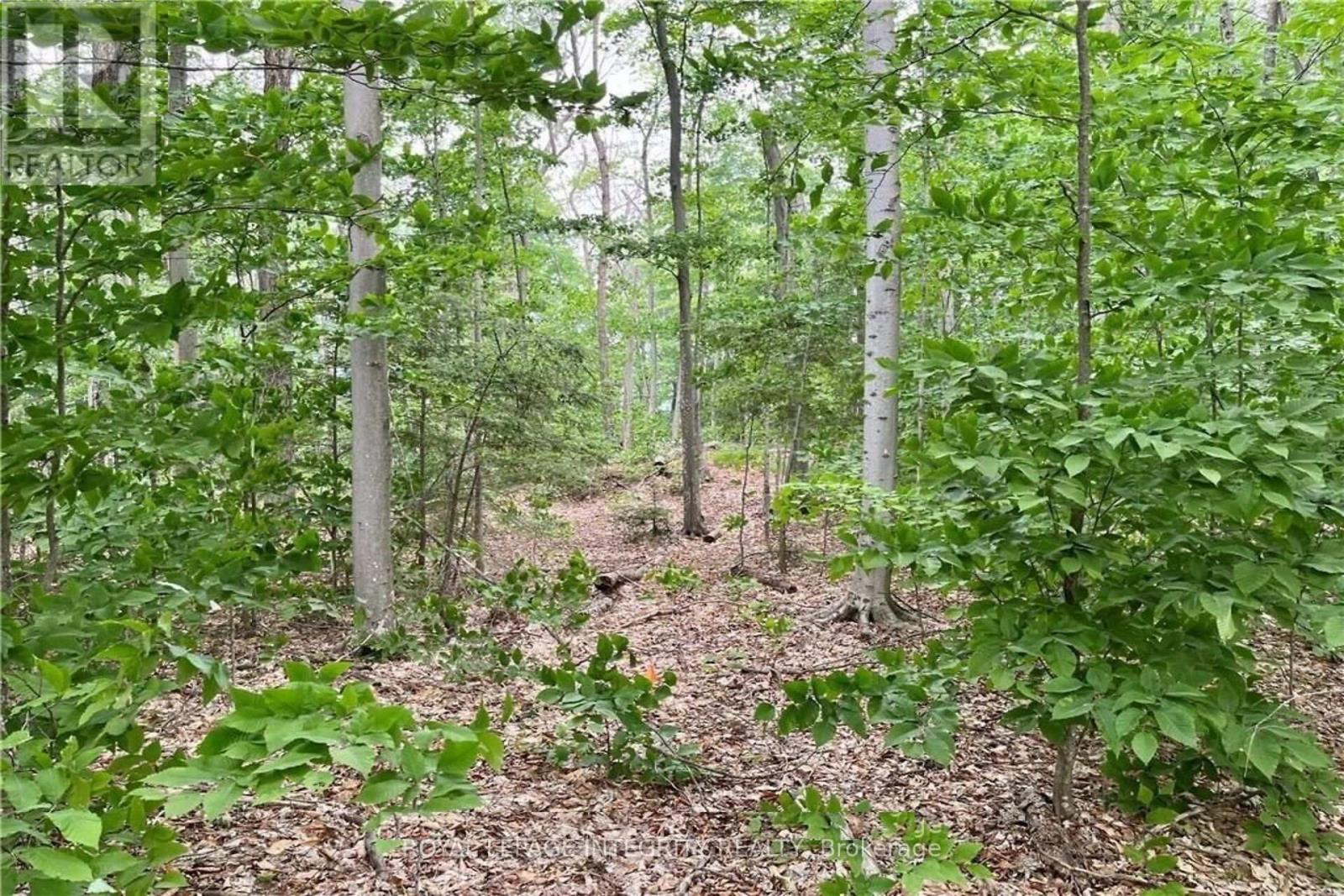 131 Shady Maple Road, Mcnab/braeside, Ontario K0J 1G0 - Photo 25 - X13228638