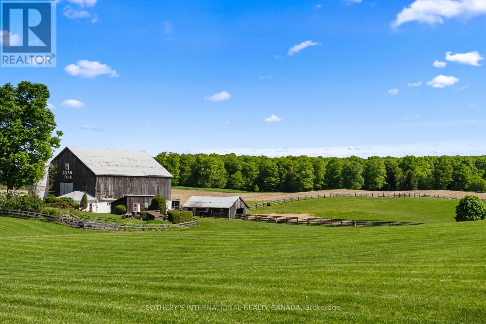 18101 Shaws Creek Road, Caledon, Ontario  L7K 0E8 - Photo 47 - W13228544