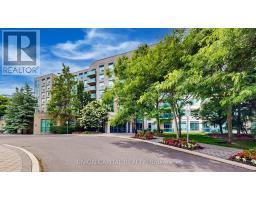 217 - 3 ELLESMERE STREET, Richmond Hill, Ontario