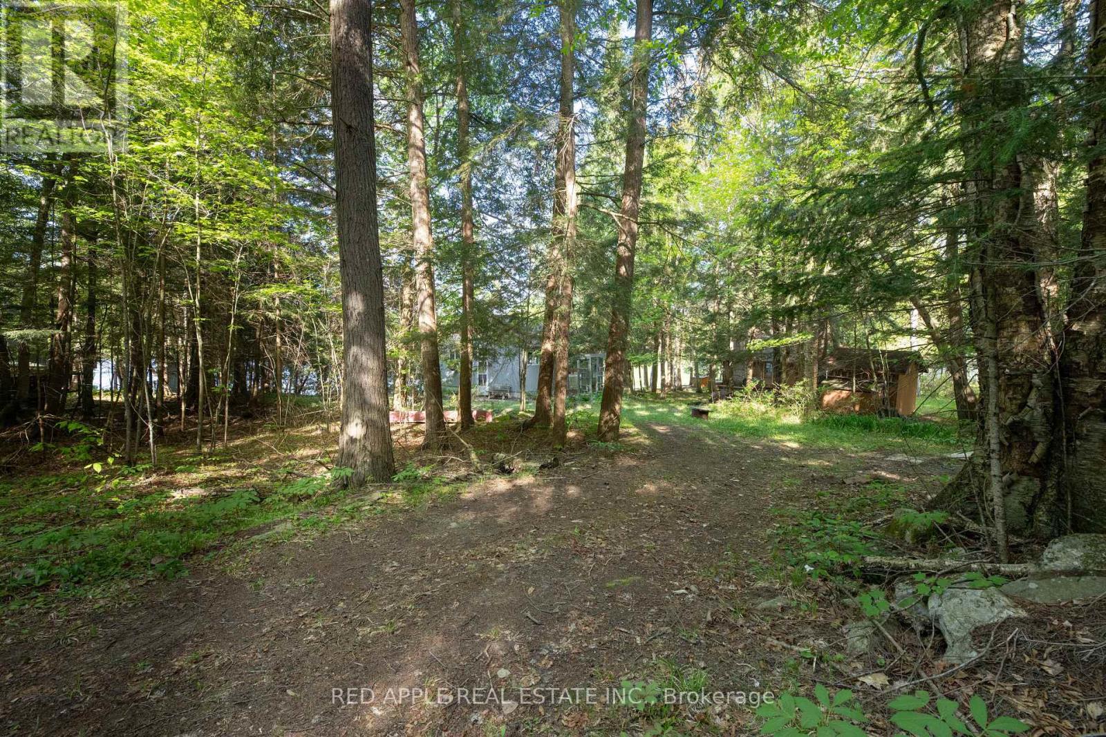 1004 Bellwood Lane, Lake Of Bays, Ontario  P0B 1A0 - Photo 13 - X13228718