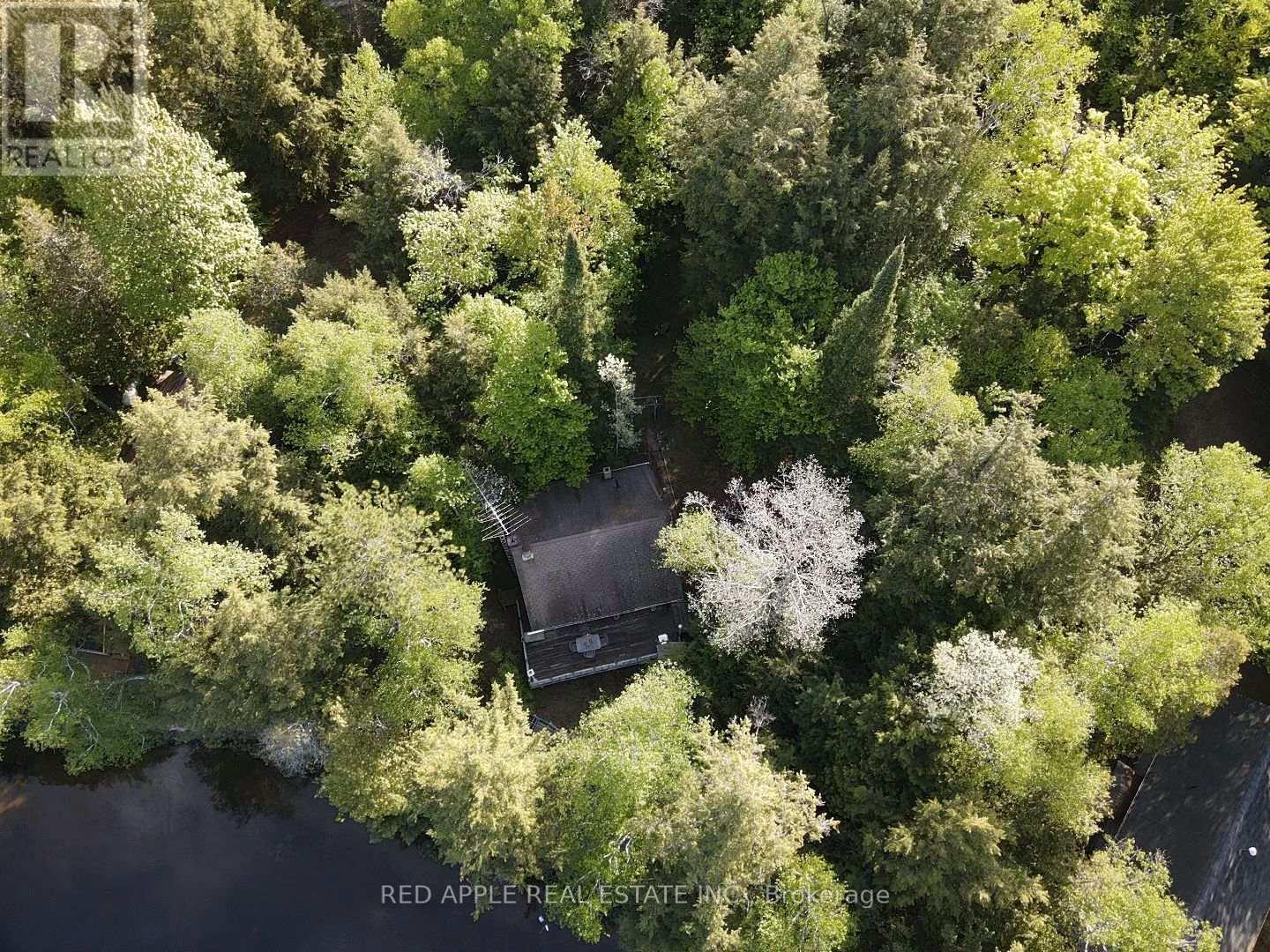 1004 Bellwood Lane, Lake Of Bays, Ontario  P0B 1A0 - Photo 14 - X13228718
