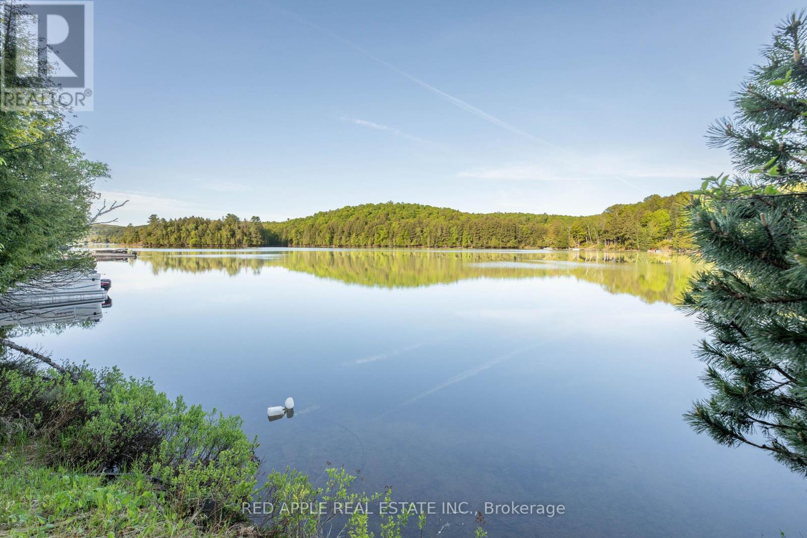 1004 Bellwood Lane, Lake Of Bays, Ontario  P0B 1A0 - Photo 8 - X13228718