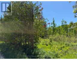 122 JAMES STREET, blue mountains, Ontario