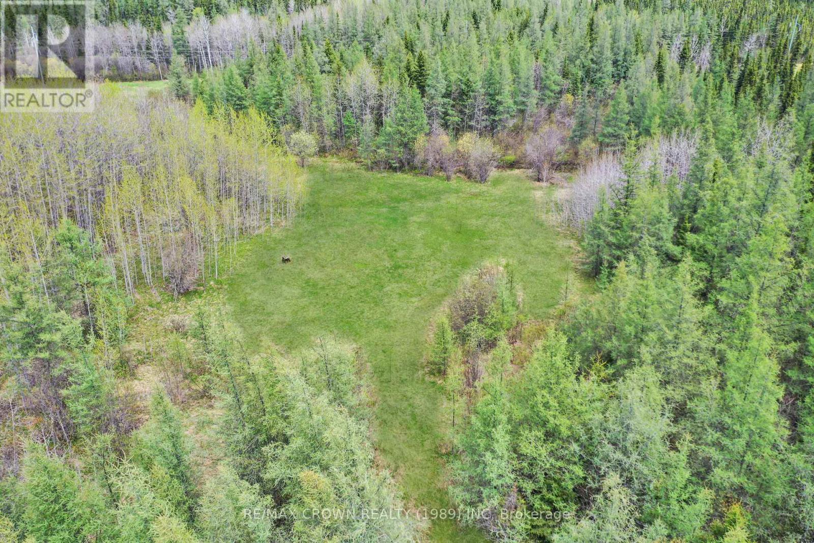 Fauquier-Strickland - 319 Highway 11, Kapuskasing, Ontario  P0L 1G0 - Photo 17 - T13013618