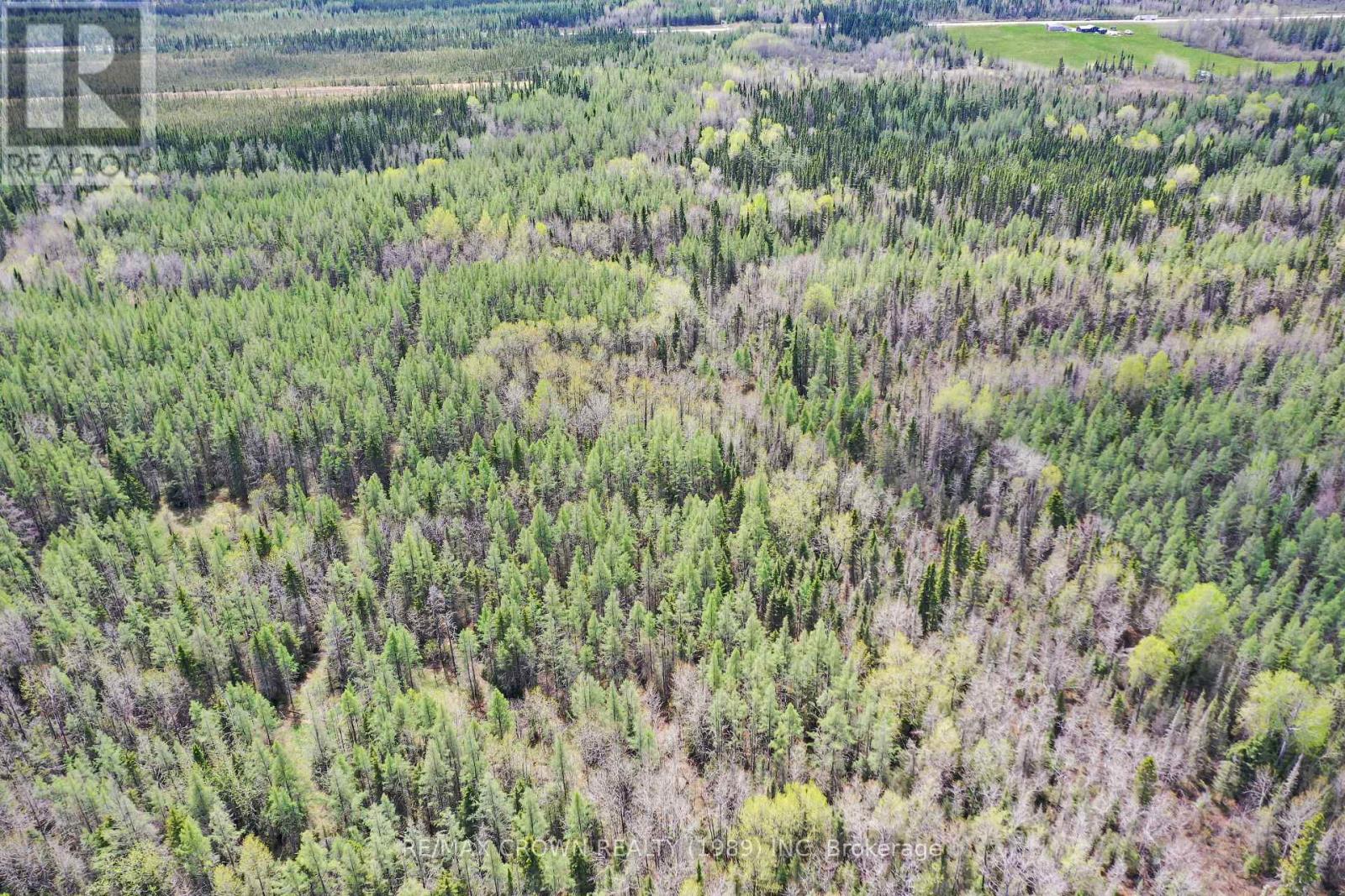 Fauquier-Strickland - 319 Highway 11, Kapuskasing, Ontario  P0L 1G0 - Photo 9 - T13013618