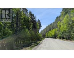 LOT 1 RED PINE TRAIL