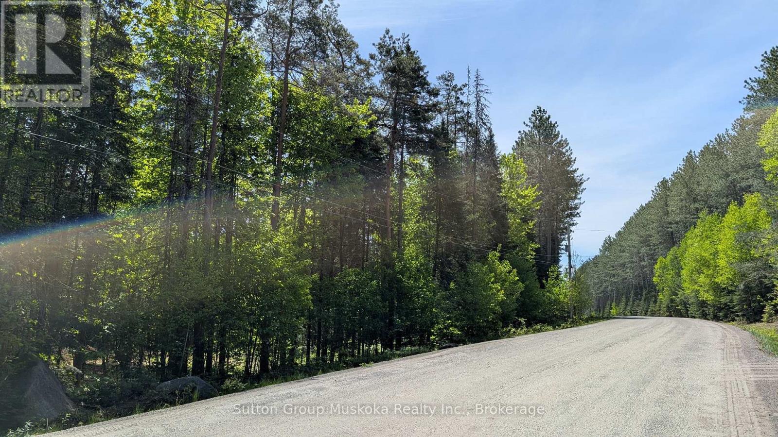 Lot 1 Red Pine Trail, Bracebridge, Ontario  P0B 1L0 - Photo 6 - X12943530