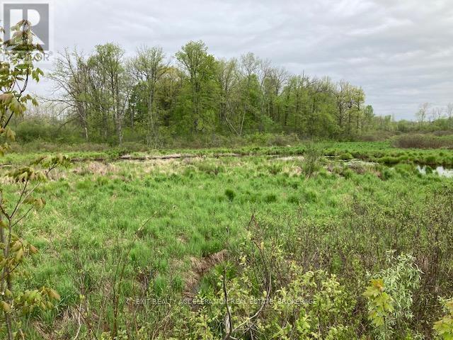 0 9th Concession Road, Stone Mills, Ontario  K0K 1Z0 - Photo 26 - X13229488