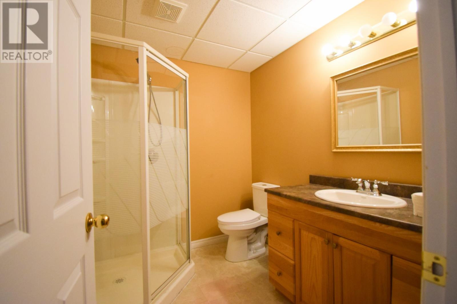 3 Tyrell Drive, Paradise, Newfoundland & Labrador  A1L 3Y7 - Photo 15 - 1298397