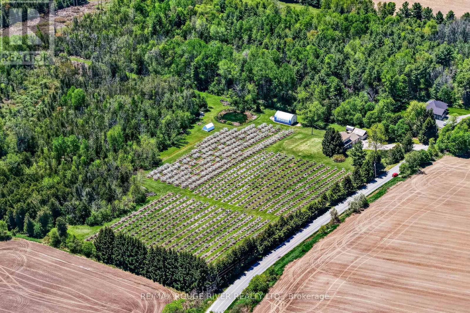 223 Turk Road, Alnwick/haldimand, Ontario  K0K 2G0 - Photo 47 - X12695284