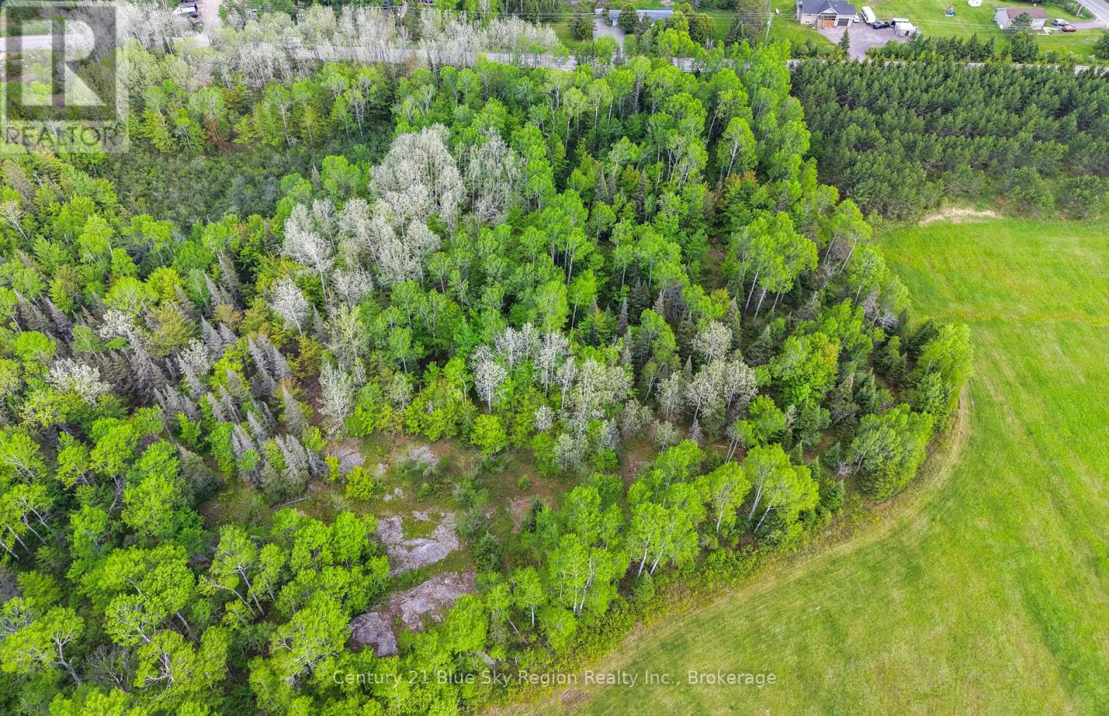 37 Macpherson Drive, East Ferris, Ontario  P0H 1K0 - Photo 4 - X12979268