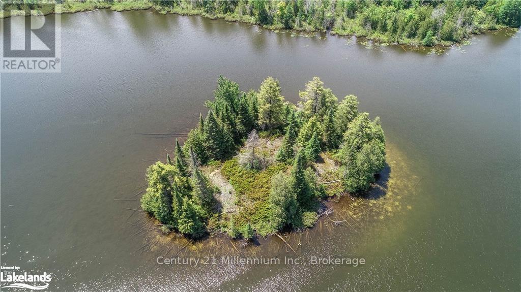 123 Highland Drive, West Grey, Ontario  N0C 1H0 - Photo 5 - X10897760