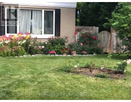26 MORPETH ROAD, Brampton, Ontario