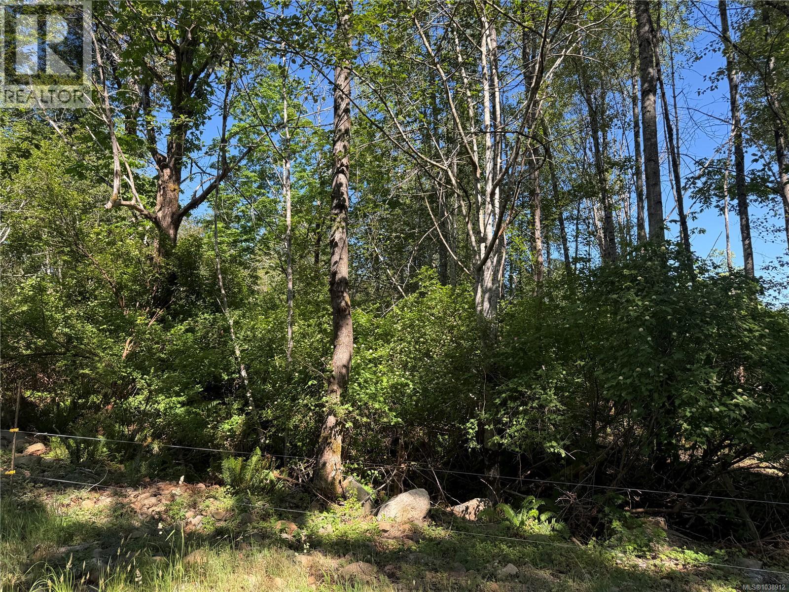 Lot A Island Hwy, Merville, British Columbia  V0R 2M0 - Photo 7 - 1038912