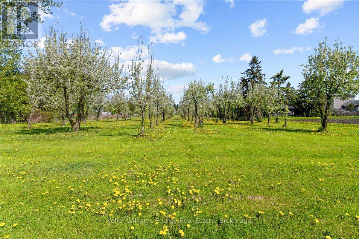 2263 Hwy 2, Clarington, Ontario  L1C 3K7 - Photo 27 - E13229752