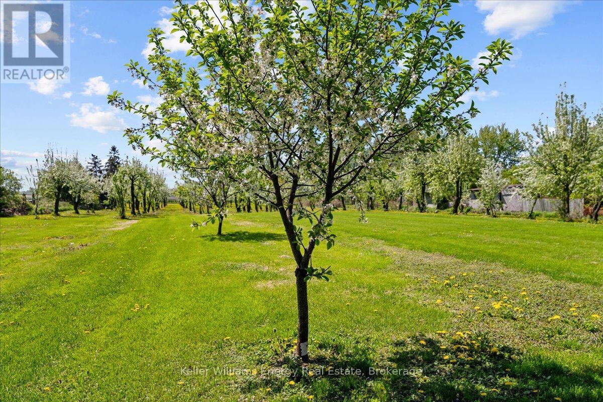 2263 Hwy 2, Clarington, Ontario  L1C 3K7 - Photo 13 - E13229754