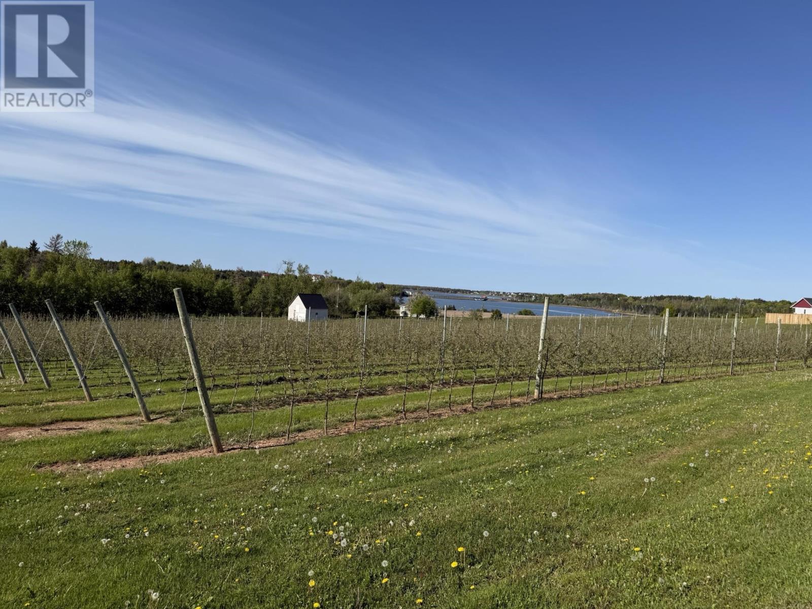 36 Stan Pearson Road, Stanley Bridge, Prince Edward Island  C0B 1M0 - Photo 7 - 202613004