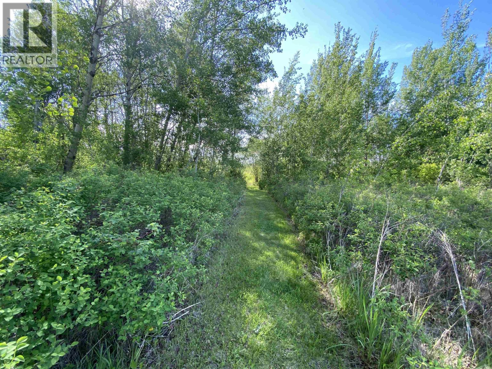 4168 Lac La Hache Station Road, Lac La Hache, British Columbia  V0K 1T0 - Photo 10 - R3127276