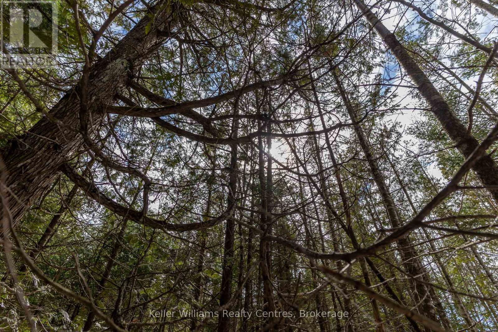 76 Myles Drive, Northern Bruce Peninsula, Ontario  N0H 1W0 - Photo 11 - X12994476