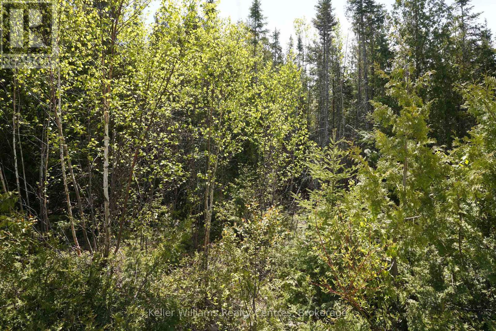 76 Myles Drive, Northern Bruce Peninsula, Ontario  N0H 1W0 - Photo 13 - X12994476