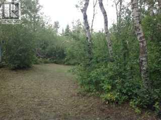 24 Lakeview Drive, Hardisty, Alberta  T0B 1V0 - Photo 19 - A2313545