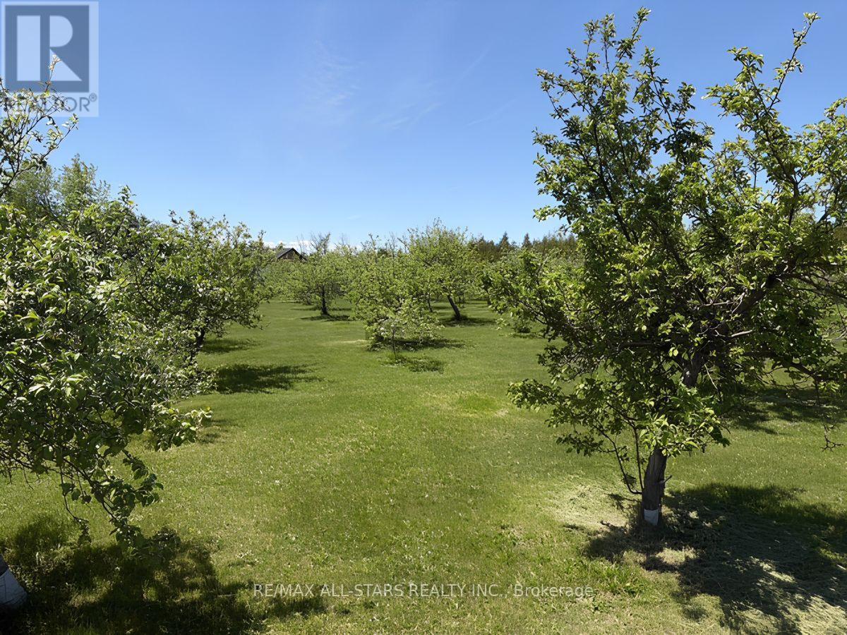 25472 Lakeridge Road, Georgina, Ontario  L0E 1N0 - Photo 9 - N13229032