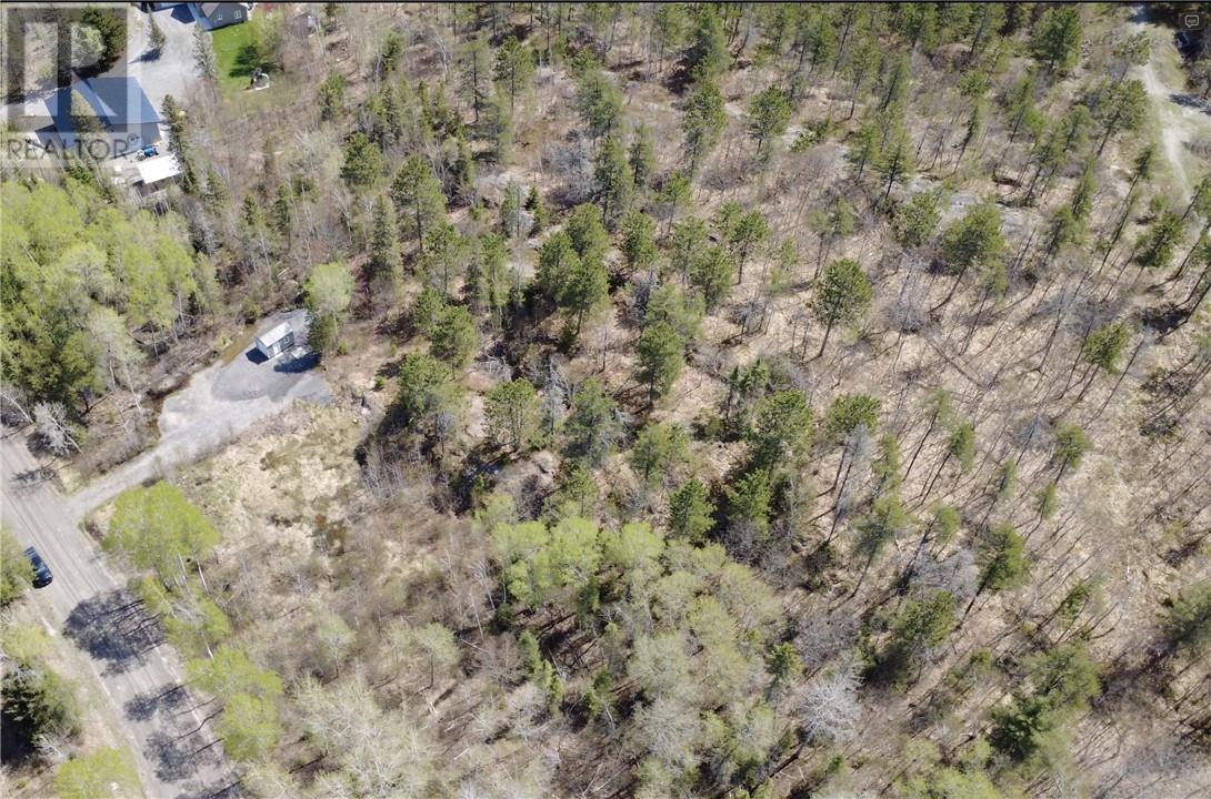 245 Birch Drive, Greater Sudbury, Ontario  P3E 4N1 - Photo 10 - 2128274
