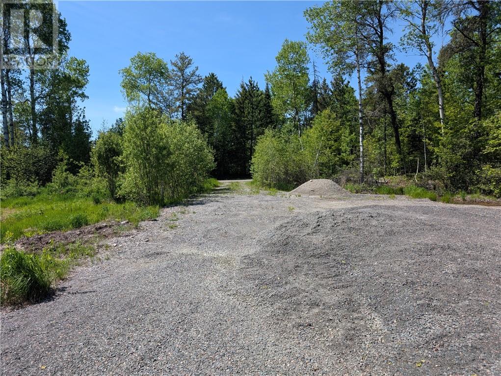 245 Birch Drive, Greater Sudbury, Ontario  P3E 4N1 - Photo 4 - 2128274