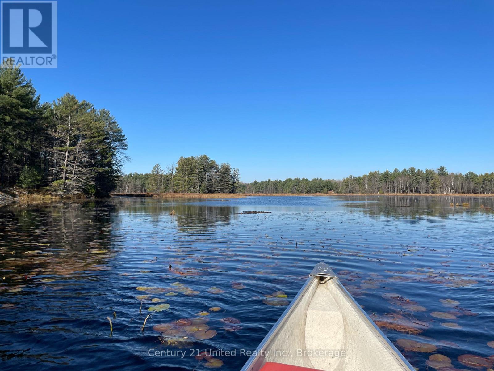 Lt 9 N 1/2 Lt 10 Con 13, Kawartha Lakes, Ontario  L0K 1W0 - Photo 8 - X13227328