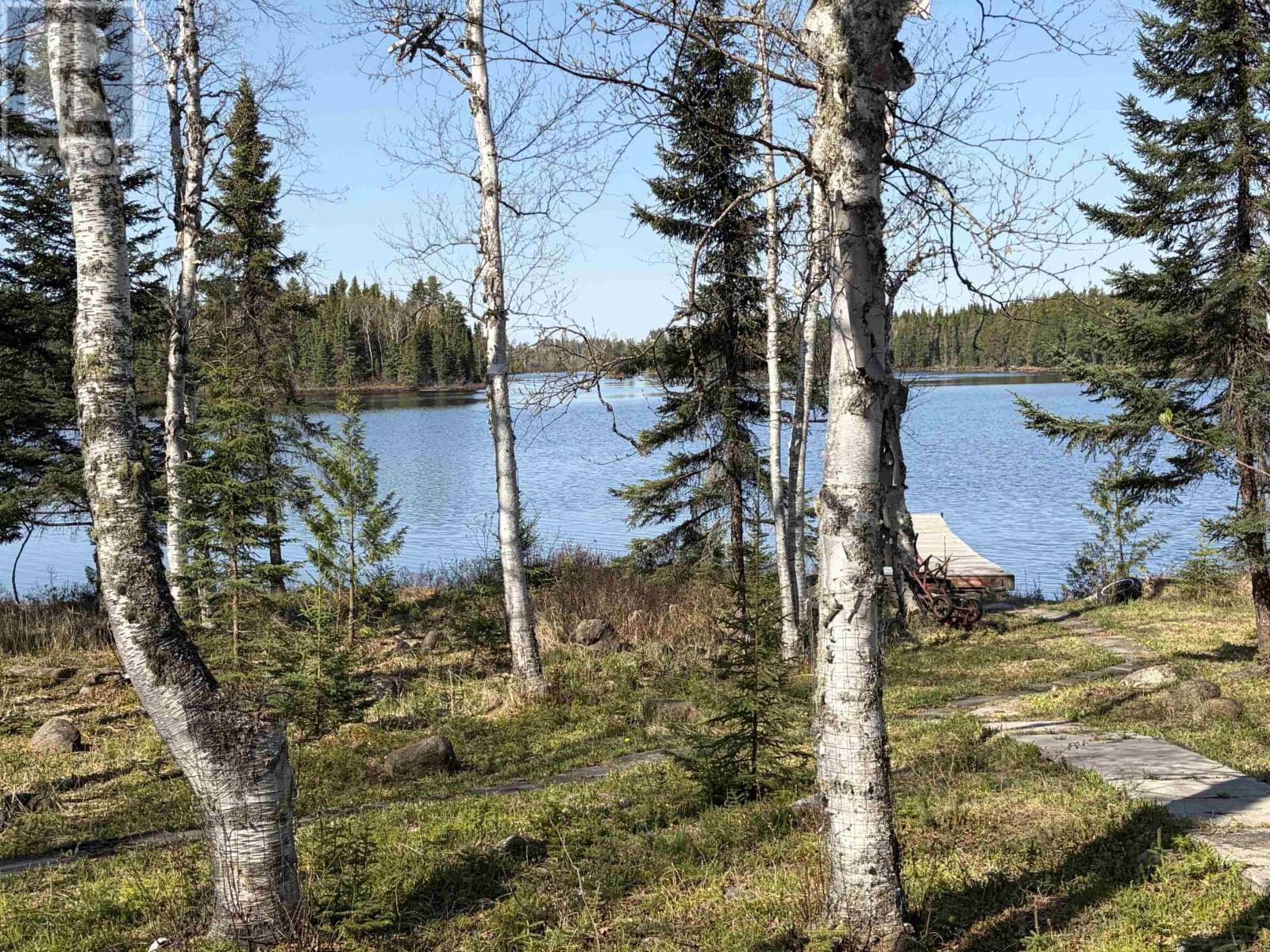 Lot 54 Hicks Lake Rd, Unorganized, Ontario  P7A 2A7 - Photo 3 - TB2601239